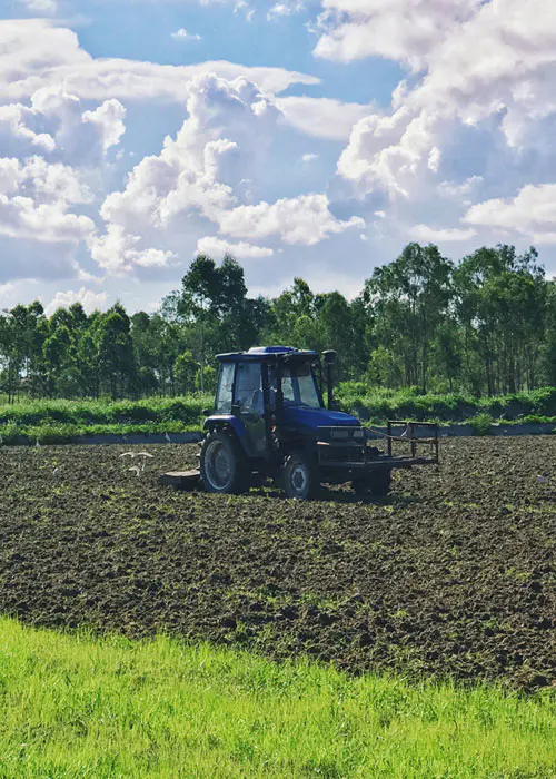 Cultivo de terras agrícolas